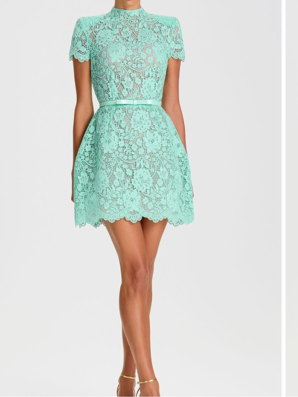 ✨NWT✨ Nadine Merabi Milly Lace Mini Dress in Mint Green